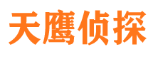 桃源市侦探公司